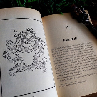 Richard Webster — Feng Shui: Yeni Başlayanlar İçin