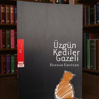Üzgün Kediler Gazeli (Yazarından İmzalı) - Haydar Ergülen - 2007