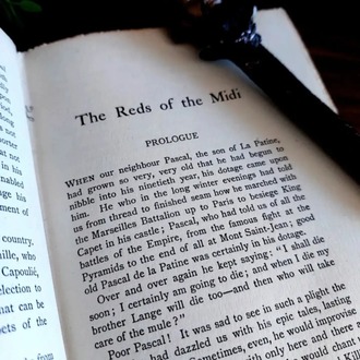 Félix Gras — The Reds of the Midi: An Episode of the French Revolution | 1896