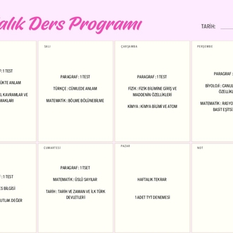 3 ayda tyt + ayt eşit ağırlık bitirme programı