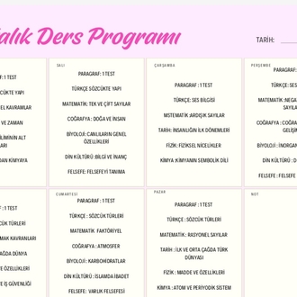 3 ayda tyt bitirme programı