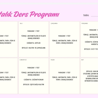 3 ayda tyt bitirme programı