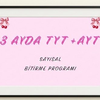 3 ayda tyt +ayt sayısal bitirme programı 