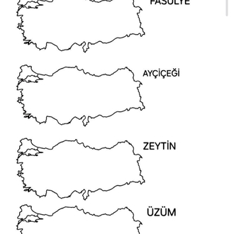 PDF COGRAFYA   BOŞ 142 sayfa