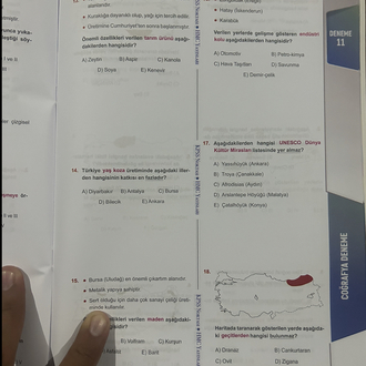 15 erli DİJİTAL (PDF) Vatandaşlık Denemesi ( Kitap Değil )
