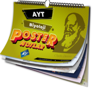 AYT Biyoloji Poster Notlar KR Akademi Yayınları