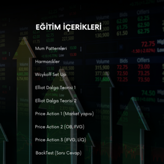 Sıfırdan İleri Seviye Profesyonel Trade Eğitimi 