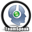 TEAMSPEAK3 SERVER 64 KİŞİLİK