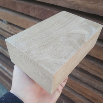 KESTANE AĞACI  - 5.5x10x16