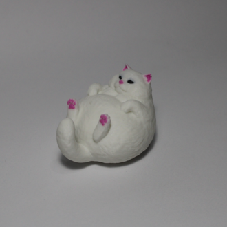 Chubby Cat