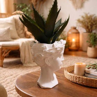 Aloe Sculpt