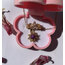 Rapunzel Set 