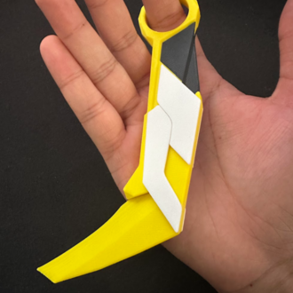 ️ Valorant Asil Karambit