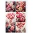 Pink Rose (Background) (12 Sayfa)