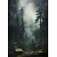 Green Forest