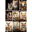Sevgililer Günü Cute Animals (Scrapbook) (14 Sayfa)