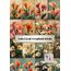 Gala Çiçeği Scrapbook Kitabı