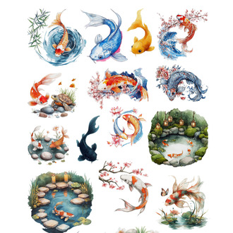 Koi fish