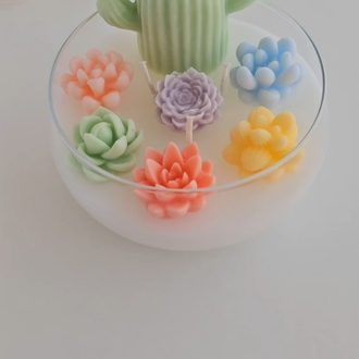 Teraryum Soya Mum