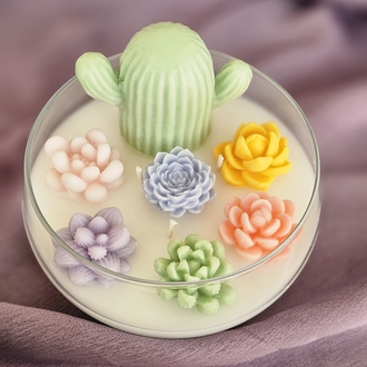 Teraryum Soya Mum