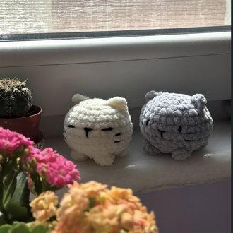 Minik Kedi