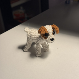 Mini Köpek