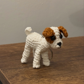 Mini Köpek
