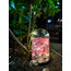 Ledli Hello Kitty Solmayan HotWheels Fanus 