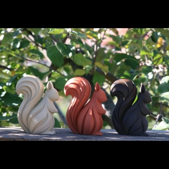 3Lü sincap Set 