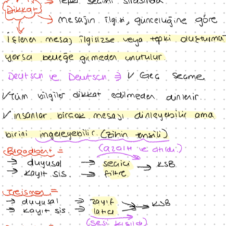 Bilişsel Final Notları