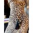 Chain Strap