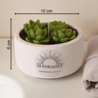 sukulent soy wax mum