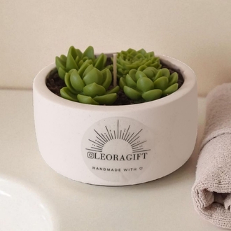 sukulent soy wax mum