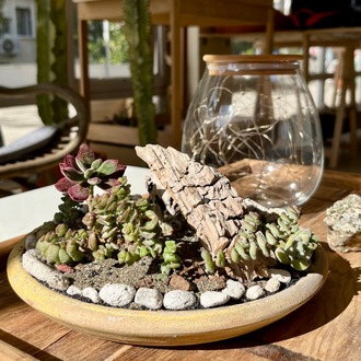 Phaselis