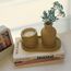 Pastel Renkli Terazzo Vazo Sukulent Set