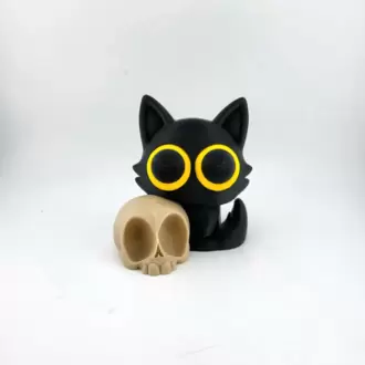 Kuru Kafa ve Kedi