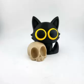 Kuru Kafa ve Kedi