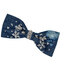 Alisha Bow