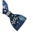 Alisha Bow