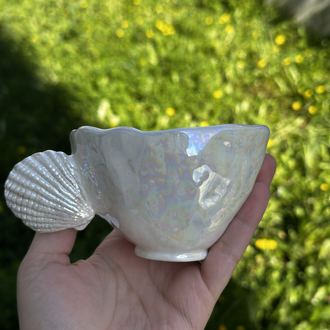shellshine✨