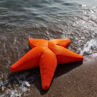 Starfish Havuz, Deniz Ve Dış Mekan Pufu / Turuncu