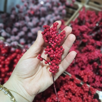 Berry Dalı 10 Adet