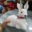 35 cm Beyaz Oturan Ceylan