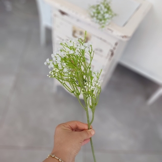 Yapay Cipso Dalı 