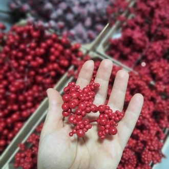 Berry Meyvesi 10 Adet 