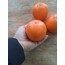 Yapay Portakal 8 cm 1 Adet, Yapay Meyve