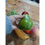 Yapay Yeşil Armut 10 cm 1 Adet, Yapay Meyve
