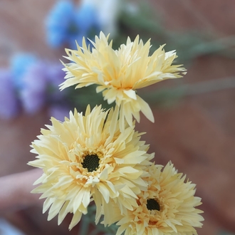 Gerbera Dalı  70 cm 