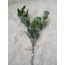 Kuzu Kulağı Pudralı Dilimli (Yeşil)