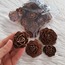 Gül Kozalak (Cedar Rose)